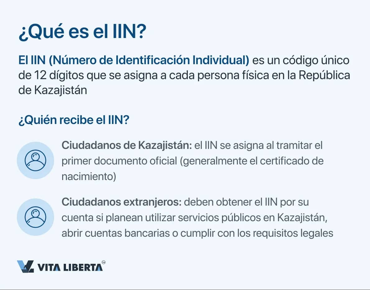 ¿Qué es el IIN