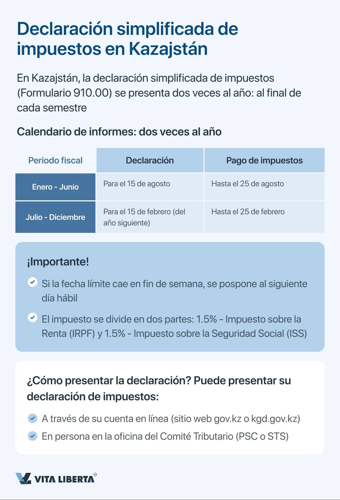 Declaración simplificada de impuestos en Kazajstán