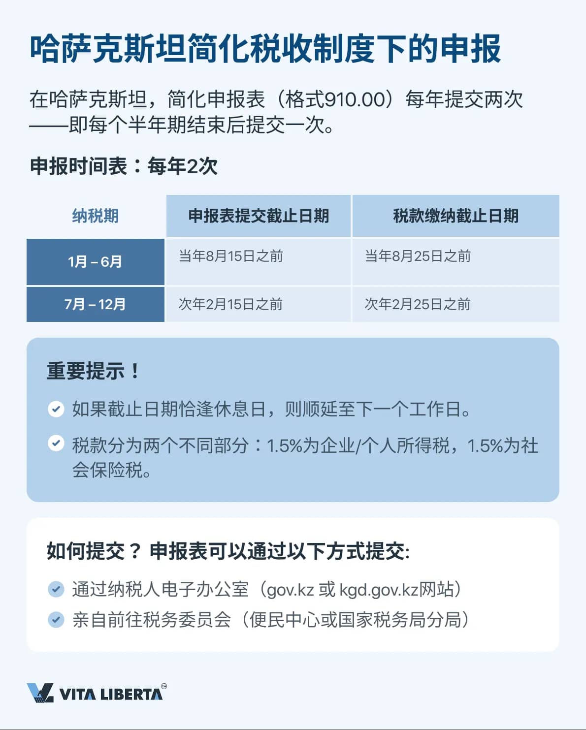 哈萨克斯坦简化税收制度下的申报